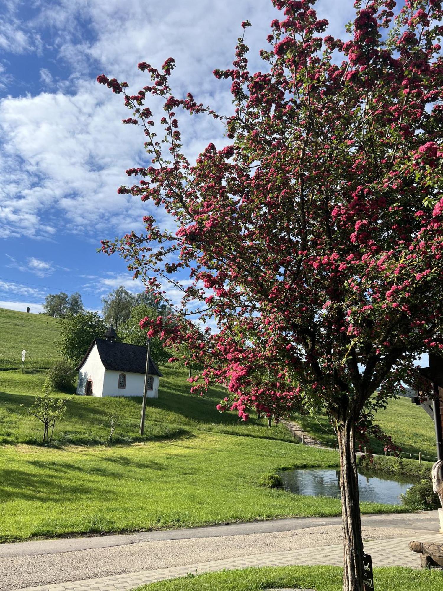 Kapellenhof Ferienwohnungen Triberg im Schwarzwald Exteriör bild